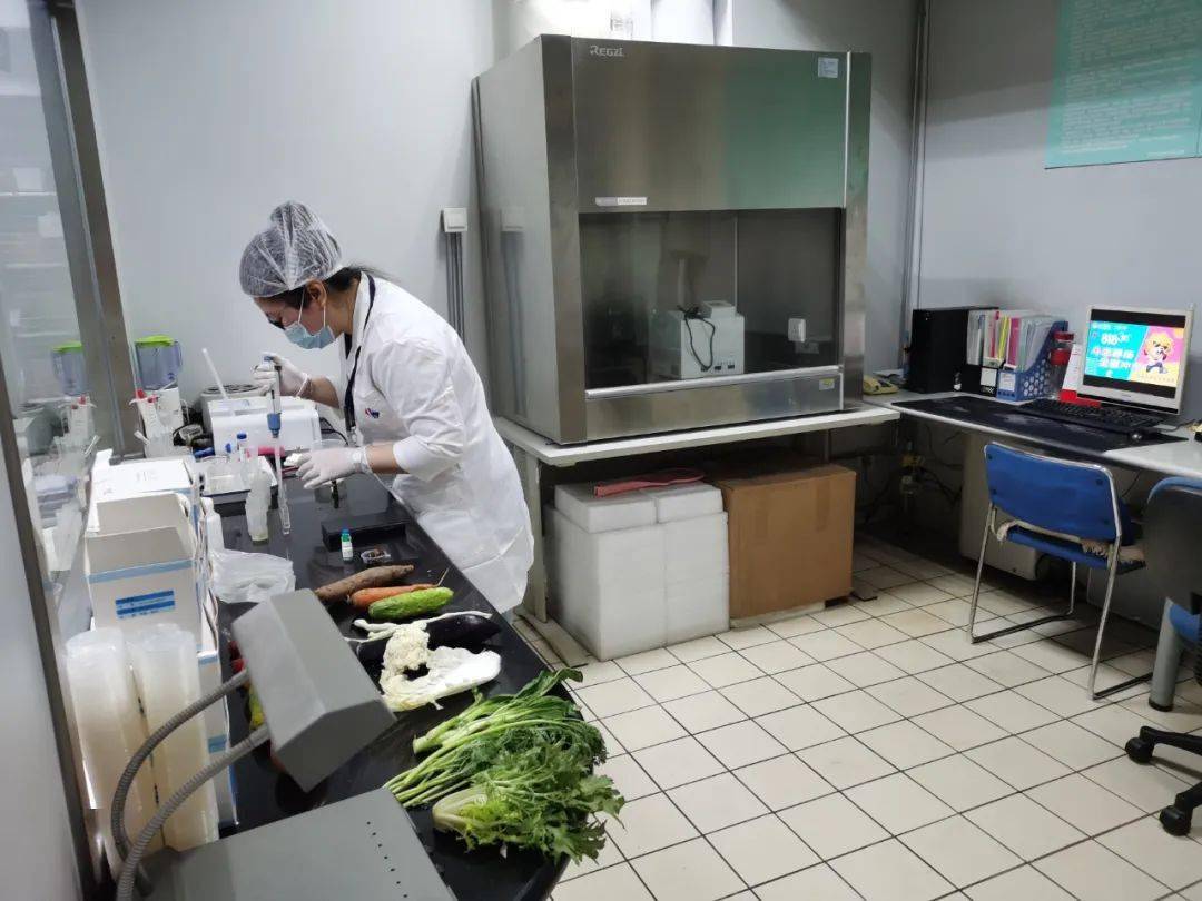 嘉鱼食品检测实验室装修方案